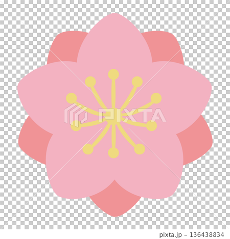 八重咲きの桃の花 136438834