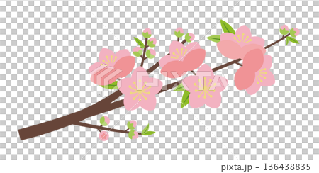 簡單的桃花枝 簡單的桃花枝 136438835