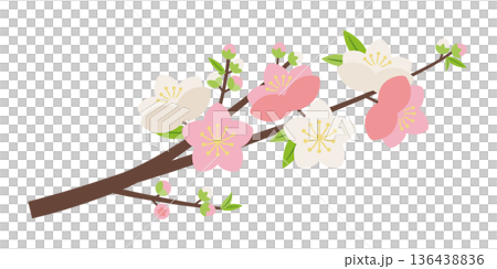 Simple Genpei peach blossom branch 136438836