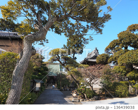 證誠寺 136439038