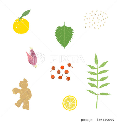 生姜と柚子と茗荷のパターン背景イラスト 香味野菜の和風総柄素材 136439095