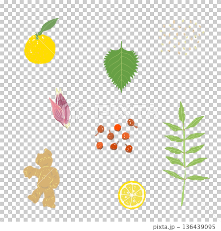 生姜と柚子と茗荷のパターン背景イラスト 香味野菜の和風総柄素材 136439095