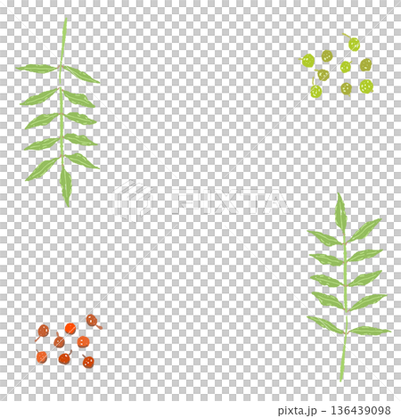 葉薑（谷中薑）邊框裝飾畫框插圖日式風格設計裝飾材料 136439098