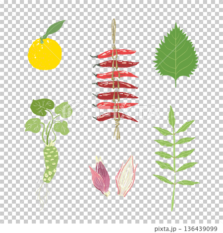 葉生姜と茗荷と唐辛子のパターン背景イラスト 縦に並んだ香味野菜の総柄 葉生姜と茗荷と唐辛子のパターン背景イラスト 縦に並んだ香味野菜の総柄 136439099