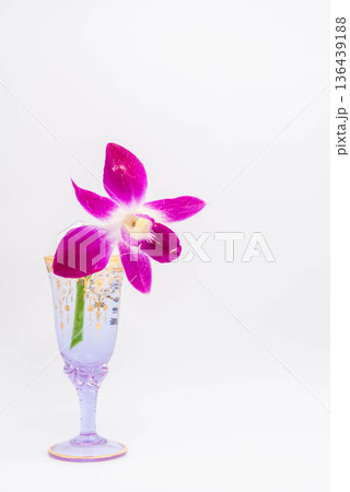 デンファレとベネチアングラス デンファレとベネチアングラス 136439188