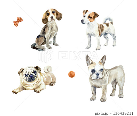 Dog set, pug, beagle, Jack Russell terrier, French bulldog. Hand drawn watercolor illustration. Vector clip art for postcards, food labels and toys. Suitable for banners for grooming salons. Dog set, pug, beagle, Jack Russell terrier, French bulldog. Hand drawn watercolor illustration. Vector clip art for postcards, food labels and toys. Suitable for banners for grooming salons. 136439211