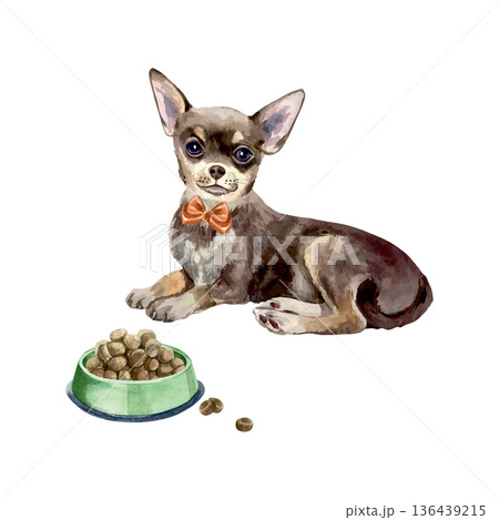 Chihuahua with a red bow lying next to a bowl of dog food. Hand drawn watercolor illustration. Vector clip art for postcards, food labels and toys. Suitable for banners for dog shows. Chihuahua with a red bow lying next to a bowl of dog food. Hand drawn watercolor illustration. Vector clip art for postcards, food labels and toys. Suitable for banners for dog shows. 136439215