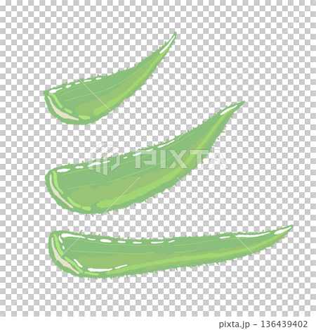 Illustration of cut aloe vera leaves. Material of three harvested leaves. Illustration of cut aloe vera leaves. Material of three harvested leaves. 136439402