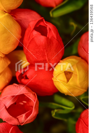 Close-up of the colorful artificial tulips flowers. Colorful artificial tulips background. Flowers background. Flower and plant. 136439568