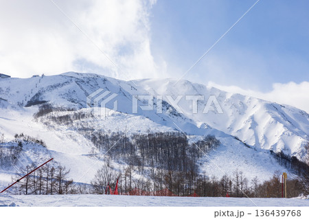 長野県白馬村の八方尾根スキー場の景色 136439768