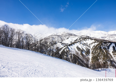 長野県白馬村の八方尾根スキー場の景色 136439769