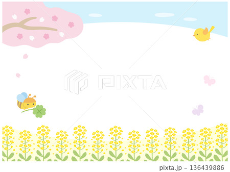 桜と菜の花と春の青空の背景イラスト 136439886