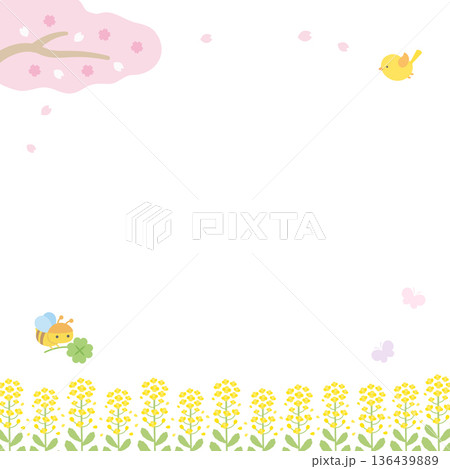 桜と菜の花の春の正方形バナーの背景 136439889