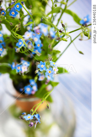 Beautiful fresh forget-me-not flowers in glass vase, top view, soft focus Beautiful fresh forget-me-not flowers in glass vase, top view, soft focus 136440188