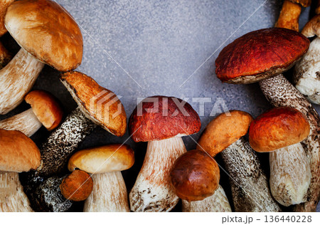 Wild forest edible mushrooms (boletus), close-up 136440228
