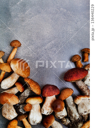 Wild forest edible mushrooms (boletus), close-up 136440229