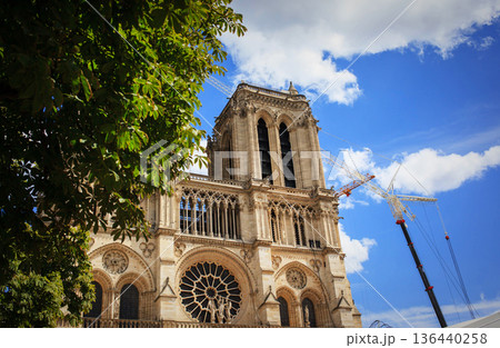 Notre Dame Cathedral under construction after the fire, Paris, France 136440258