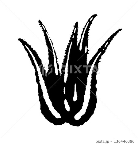 アロエベラの株全体のモノクロイラスト 136440386