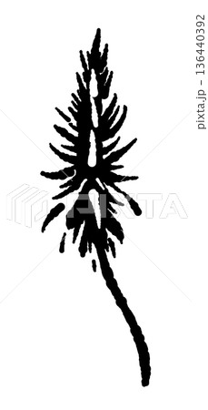 一本のアロエベラの花のイラスト 136440392