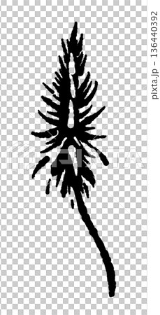一本のアロエベラの花のイラスト 136440392