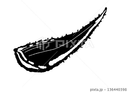 先端をカットしたアロエの葉のイラスト 136440398