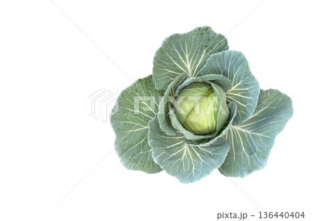 Cabbage isolated with clipping path on white background Cabbage isolated with clipping path on white background 136440404