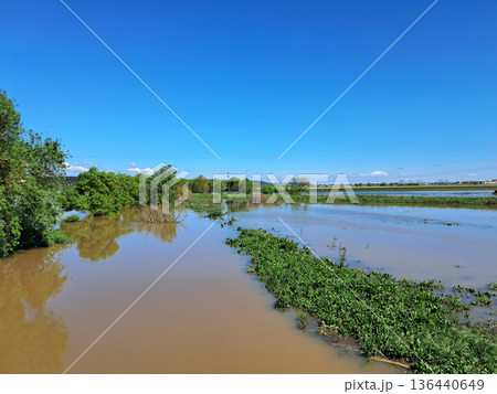 The impact of floods in Portugal in 2026, when rivers overflow and inundate agricultural fields The impact of floods in Portugal in 2026, when rivers overflow and inundate agricultural fields 136440649