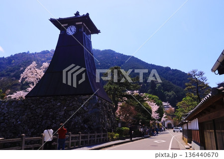 出石城跡（兵庫県豊岡市）辰鼓楼前　満開の桜 136440670