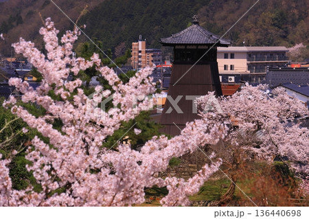 出石城跡(兵庫県豊岡市)二の丸庭園から見る辰鼓楼 満開の桜 出石城跡(兵庫県豊岡市)二の丸庭園から見る辰鼓楼 満開の桜 136440698