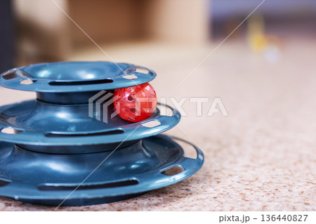 Cozy kitchen scene showing playful cat toy with glossy tiers and lively coloring Cozy kitchen scene showing playful cat toy with glossy tiers and lively coloring 136440827