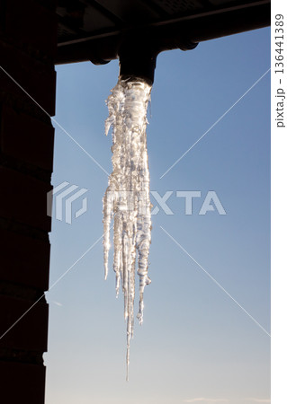 Frozen drip hanging from eaves. Seasonal melting icicle reflects winter sunlight vividly 136441389