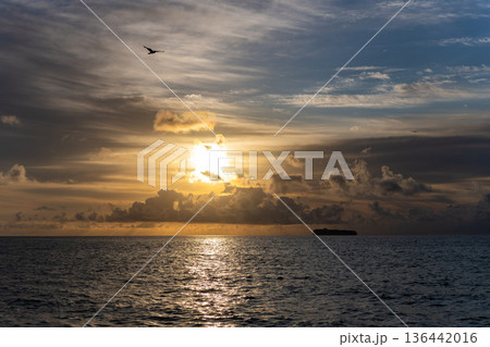 Dramatic sunrise. Sea sunrise on summer beach. Sunset seascape at summer vacation. Sunrise with sea beach. Dramatic horizon sea view on sunset. Romantic summer vacation at seascape. Ship silhouette Dramatic sunrise. Sea sunrise on summer beach. Sunset seascape at summer vacation. Sunrise with sea beach. Dramatic horizon sea view on sunset. Romantic summer vacation at seascape. Ship silhouette 136442016