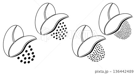 Cartoon roasted coffee beans pictogram. Coffee bean grind, size chart grains. For mug or cup. For coffee percolator. Coarse, medium or fine progress bar, loading. Manual coffee grinder. Cartoon roasted coffee beans pictogram. Coffee bean grind, size chart grains. For mug or cup. For coffee percolator. Coarse, medium or fine progress bar, loading. Manual coffee grinder. 136442489