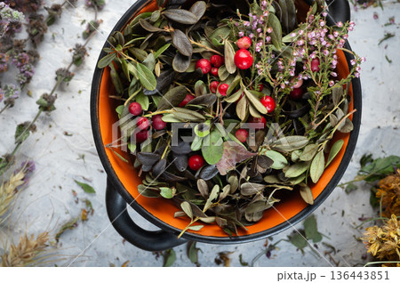 wild forest heather and cowberry berries and leaves. top view. close up wild forest heather and cowberry berries and leaves. top view. close up 136443851