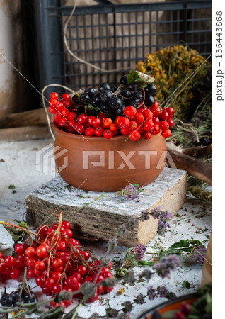 ripe wild berries: viburnum, red and black rowanberries around dry herbs ripe wild berries: viburnum, red and black rowanberries around dry herbs 136443868