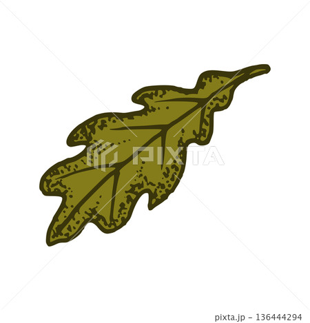 SS_OK SS_OK 136444294