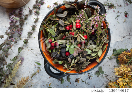 wild forest heather and cowberry berries and leaves.. top view. close up 136444617