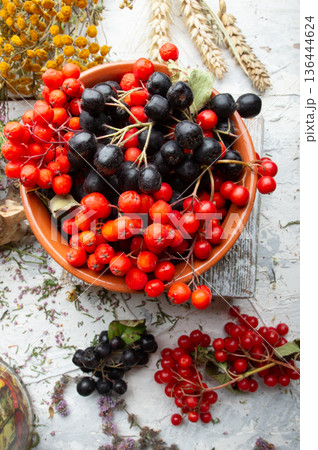 black and red rowan, viburnum berries at white background. close up. top view black and red rowan, viburnum berries at white background. close up. top view 136444624