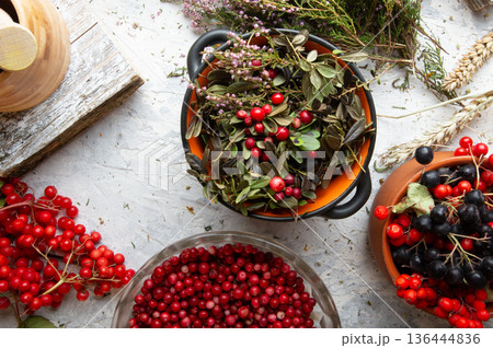 forest ripe cowberry berries and leaves, heather , rowan berries black and red at  white background. top view 136444836