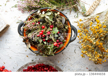 cowberry leaves and berries around dry medicine herbs at white background. top view cowberry leaves and berries around dry medicine herbs at white background. top view 136444838