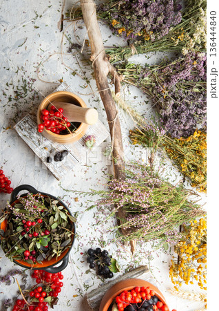 wild dry medicine herbs and cowberry, rowan, viburnum berries at white background. flat lay wild dry medicine herbs and cowberry, rowan, viburnum berries at white background. flat lay 136444840