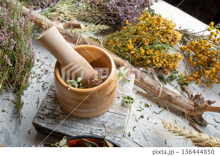 different wild medicinal dry herbs: white yarrow herb blossoming, yellow tansy herb, marjoram, St. John's wort at white background different wild medicinal dry herbs: white yarrow herb blossoming, yellow tansy herb, marjoram, St. John's wort at white background 136444850