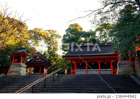 京都府　伏見稲荷大社　白狐社 ＆ 奥宮（重要文化財） 京都市伏見区深草藪之内町 136444942