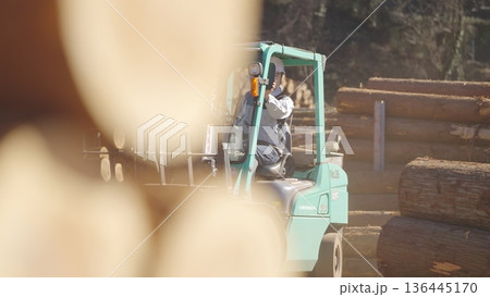 フォークリフトに乗り込む林業従事者 : 多摩木材センター協同組合 フォークリフトに乗り込む林業従事者 : 多摩木材センター協同組合 136445170