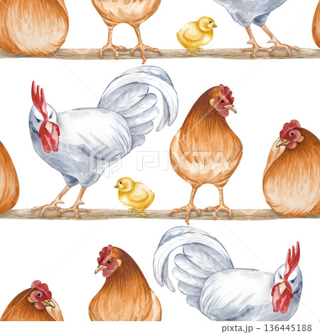 Horizontal seamless pattern depicting sitting and standing farm birds on a roost. Watercolor illustration of a poultry yard on an isolated background. Brown hens, a white rooster and chickens on a 136445188