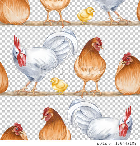Horizontal seamless pattern depicting sitting and standing farm birds on a roost. Watercolor illustration of a poultry yard on an isolated background. Brown hens, a white rooster and chickens on a 136445188