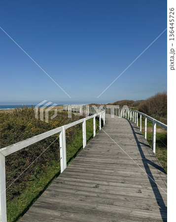 Wooden coastal boardwalk along Camino de Santiago in Portugal with curved pathway leading through dunes toward Atlantic horizon. Travel, outdoor lifestyle, slow travel, destination branding 136445726