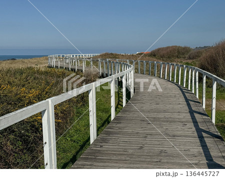Wooden coastal boardwalk along Camino de Santiago in Portugal with curved pathway leading through dunes toward Atlantic horizon. Travel, outdoor lifestyle, slow travel, destination branding Wooden coastal boardwalk along Camino de Santiago in Portugal with curved pathway leading through dunes toward Atlantic horizon. Travel, outdoor lifestyle, slow travel, destination branding 136445727
