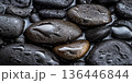 Rain-soaked stone background with wet, glistening black river rocks, reflecting ambient light. 136446844