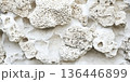 Ocean coral stone background with textured porous formations, bleached white by saltwater. 136446899